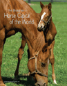 Horse Capital Of The World