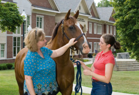 UofL Equine  Louisville KY