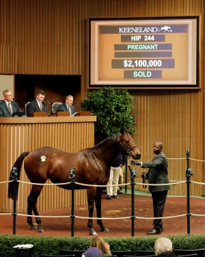 For Royalty, dam of Grade 1 winner Constellation in foal to Bernardini, sold to Summer Wind Equine for $2.1 million.