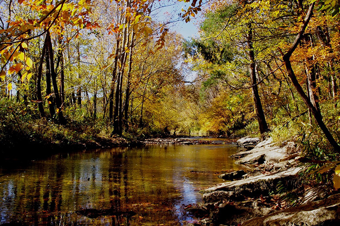 Office of Kentucky Nature Preserves announces conservation of 1,000 ...