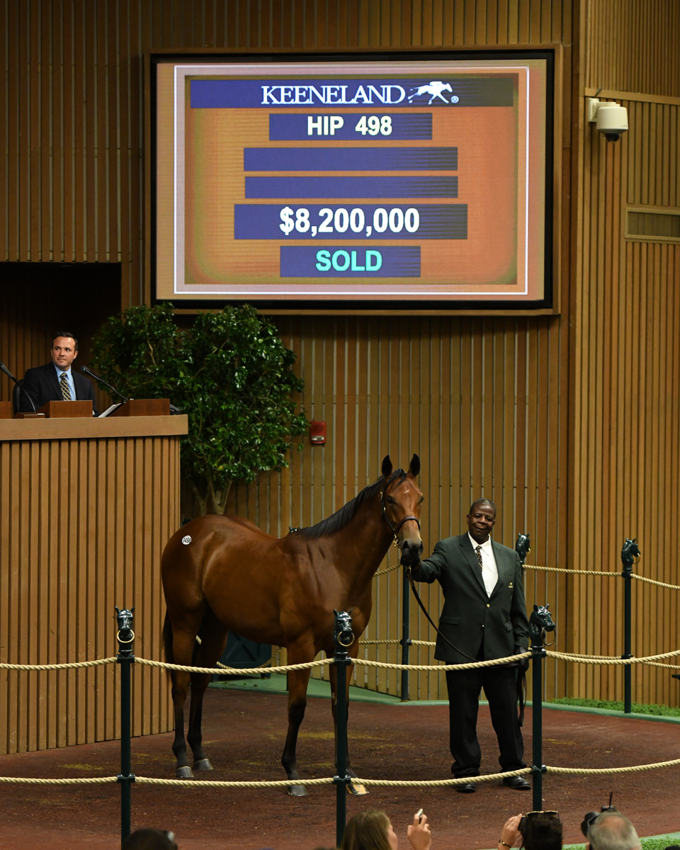 Pope buys Tapit colt for $2.1 million