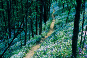 Raven Run Nature Sanctuary