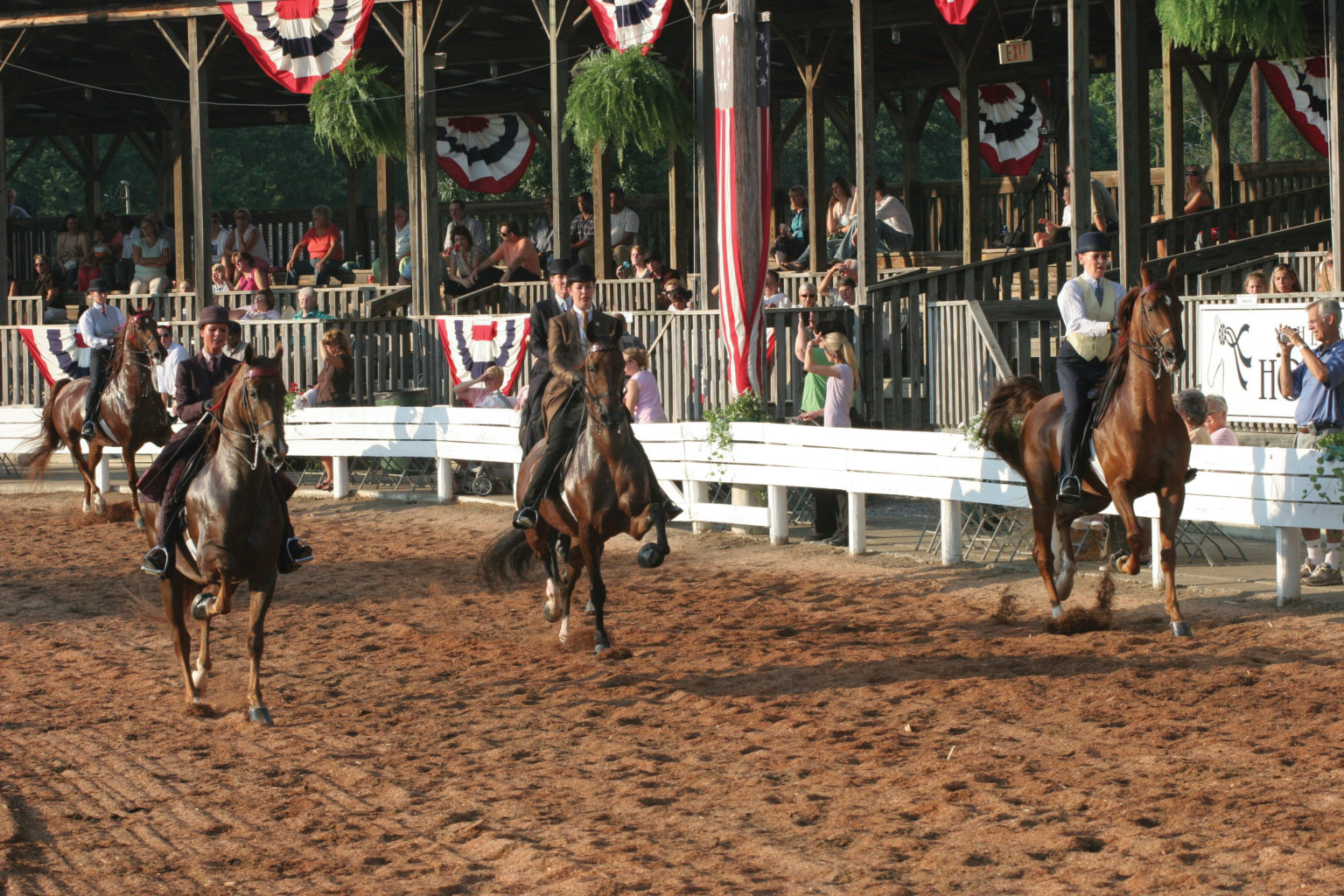 Shelbyville Horse Show returns after twoyear hiatus Lane Report