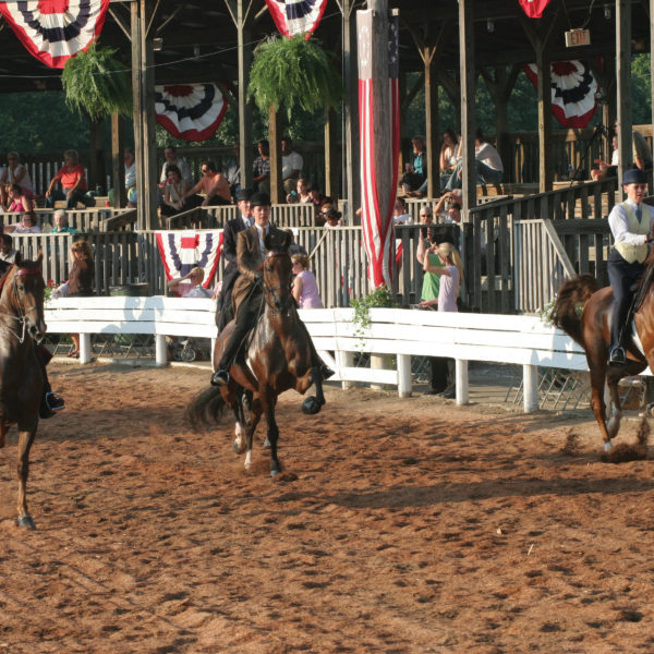 Home to 90-plus Saddlebred horse farms and breeding and training facilities, Shelby County is the American Saddlebred Capital of the World. 