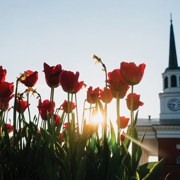 Bardstown has been named the Most Beautiful Small Town in America by USA Today and Rand McNally and the Best Small Town in the South by Southern Living magazine.