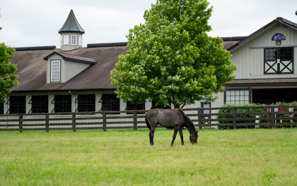Experience Horse Country behind the scenes with tours beginning in April -  Lane Report | Kentucky Business & Economic News
